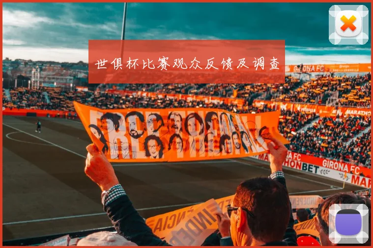 世俱杯比赛观众反馈及调查