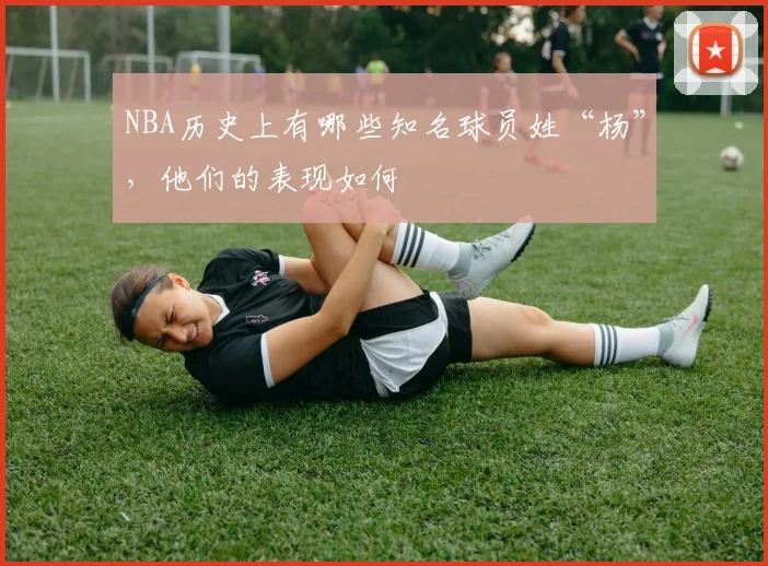 NBA历史上有哪些知名球员姓“杨”,他们的表现如何