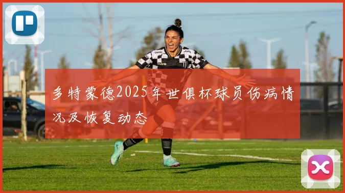 多特蒙德2025年世俱杯球员伤病情况及恢复动态