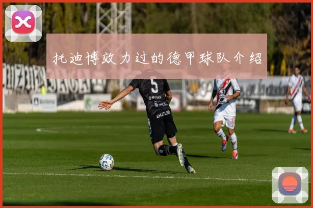 托迪博效力过的德甲球队介绍