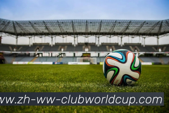 世界杯官网平台生态图